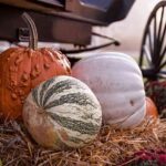 ideas-para-secar-calabazas