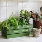 feng-shui-en-la-cocina-claves-para-aplicar-esta-filosofia-8