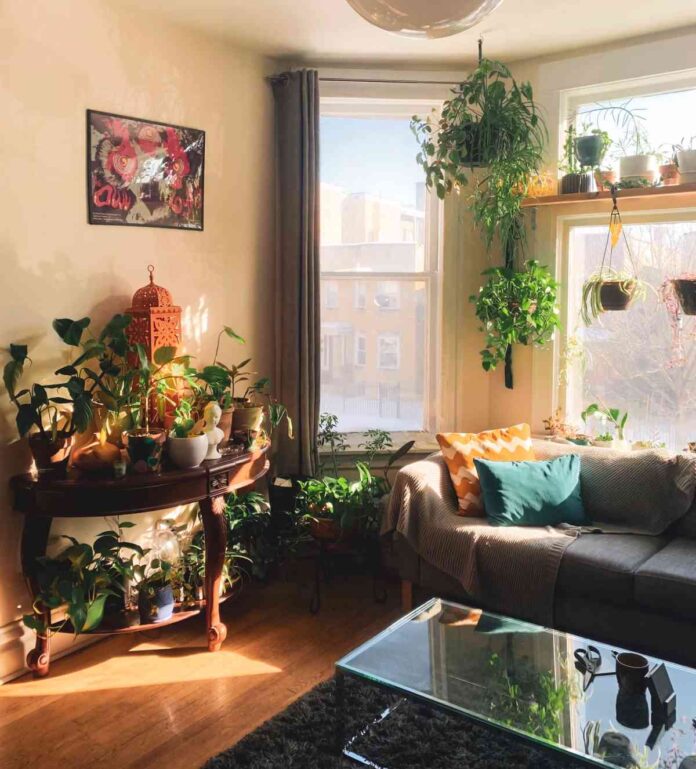 jardin interior salon