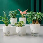 macetas-autorriego-2