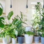 macetas-autorriego-5