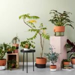 macetas-autorriego-9