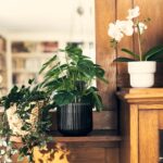 plantas-artificiales-de-ikea-10