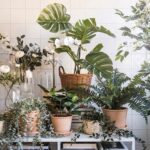 Plantas artificiales de Ikea 6