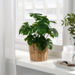 plantas-artificiales-de-ikea-8