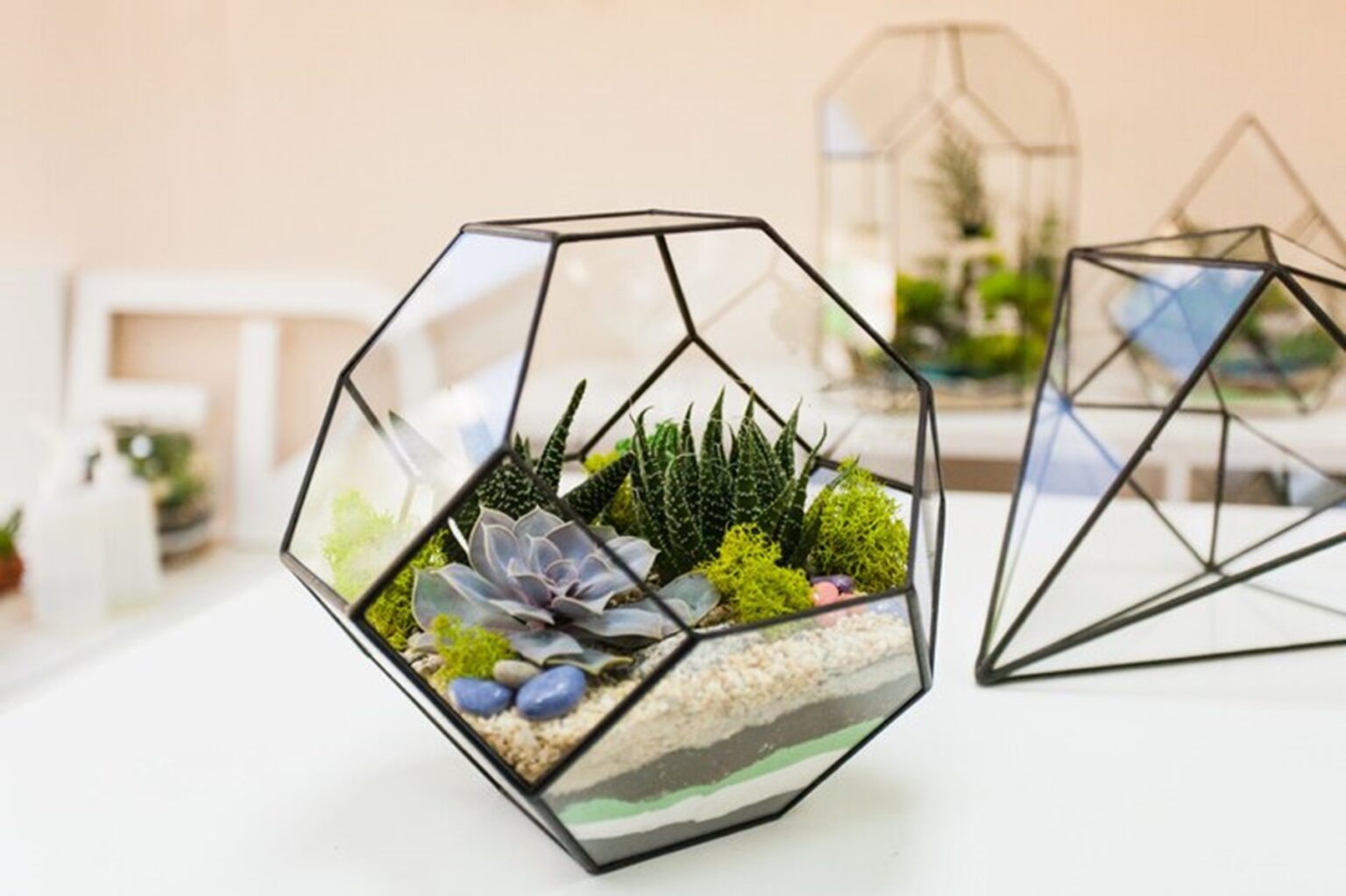 AHANDMAKER 5 Plantas En Miniatura 1:12 | Set De Maceteros Y Vegetación Para Casas De Muñecas