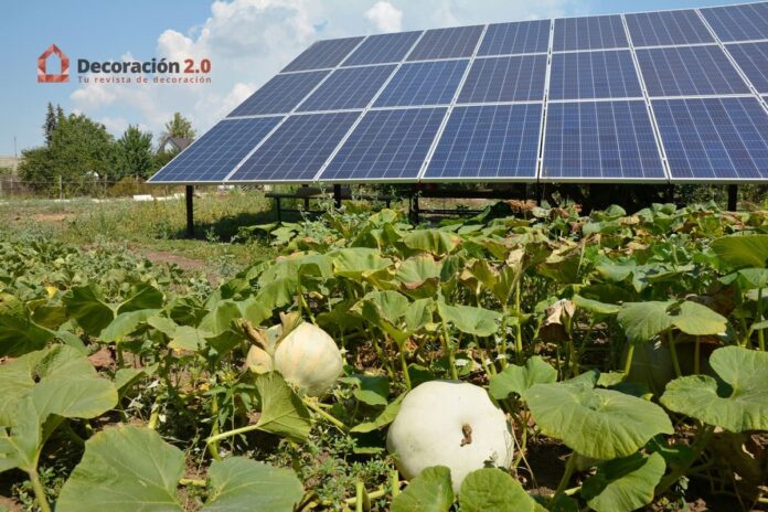 agrovoltaica-energia-solar-agricultura