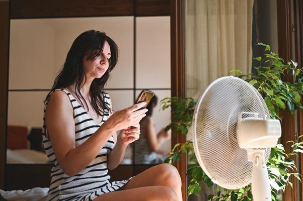 Refresca cualquier espacio del hogar con un abanico de pedestal 2