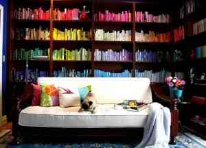Atrévete a organizar tus libros por colores