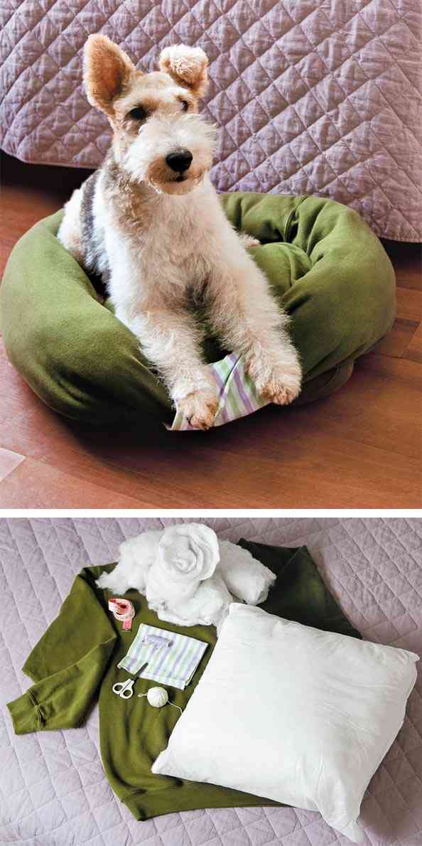 cama para mascotas