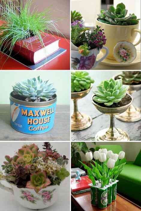 Ideas para decorar con pequeñas plantas