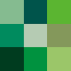 color verde para pintar paredes