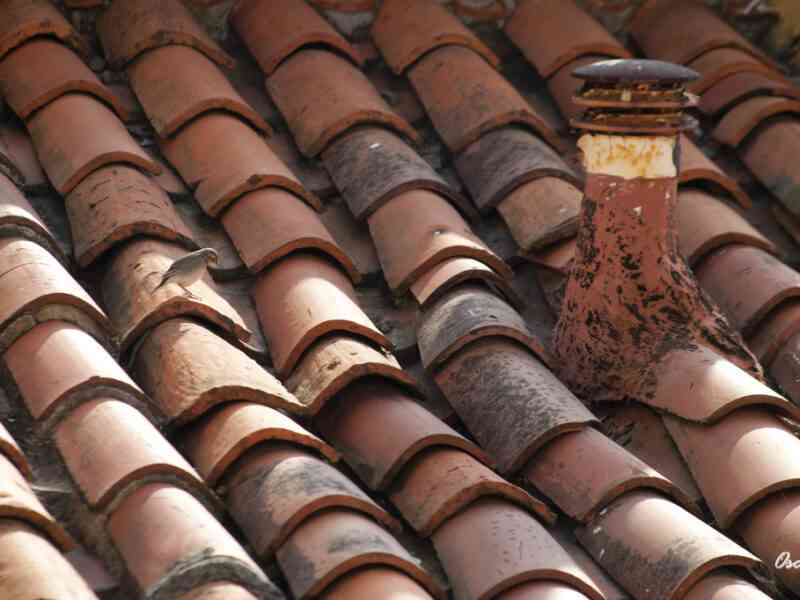Menos resistirse miembro Diferentes aspectos vinculados a los techos de tejas