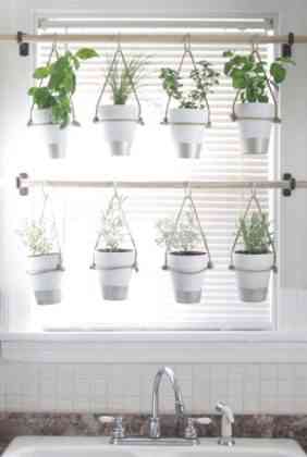 10 formas de decorar el interior de las ventanas con plantas