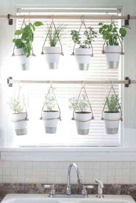decorar el interior de las ventanas con plantas II