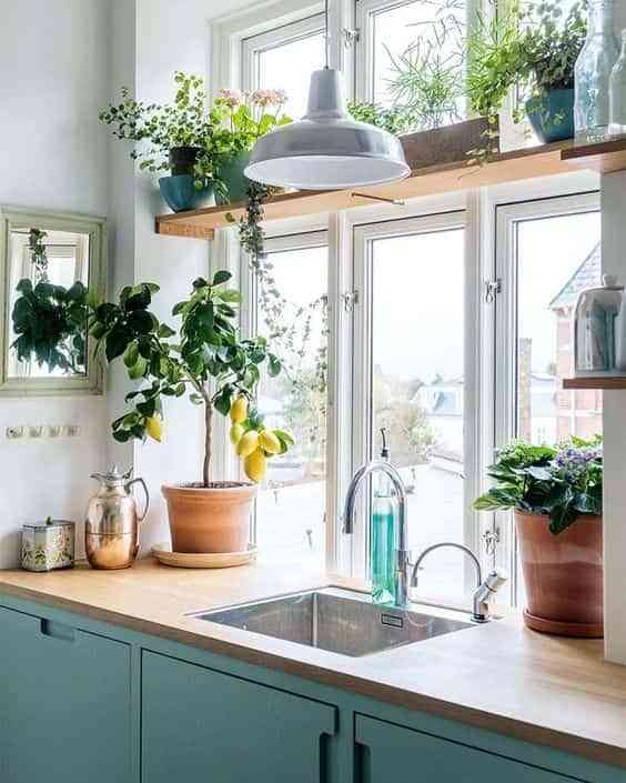 10 formas de decorar el interior de las ventanas con plantas