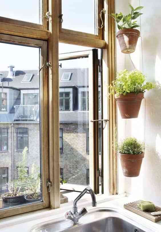 decorar el interior de las ventanas con plantas IX