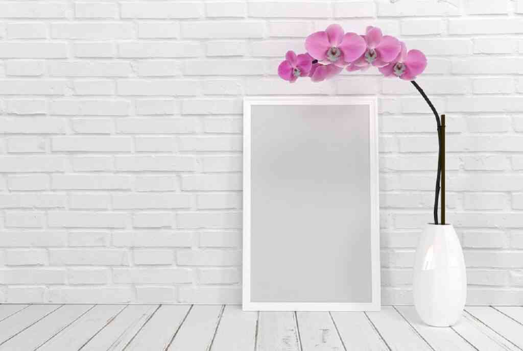 Puedes realizar varias estrategias para decorar e iluminar una pared blanca de tu hogar.