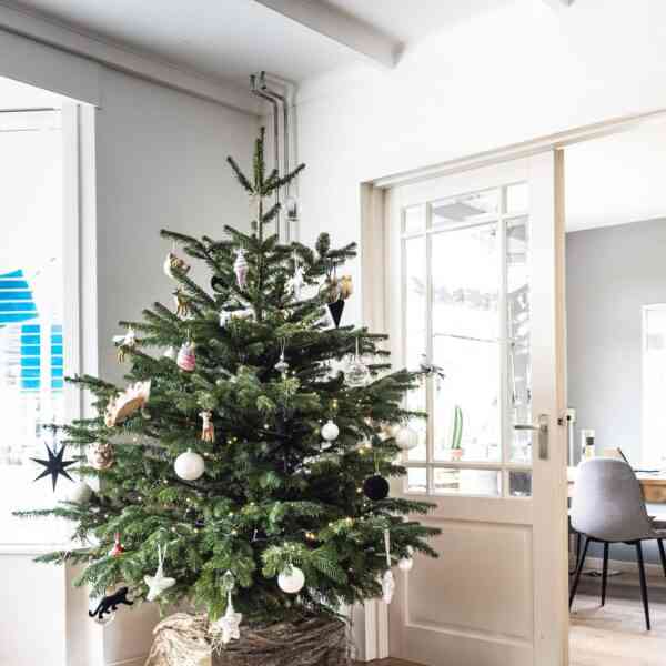 Ideas un árbol de Navidad más sostenible