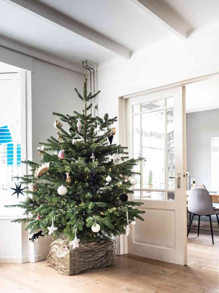 Ideas un árbol de Navidad más sostenible 3