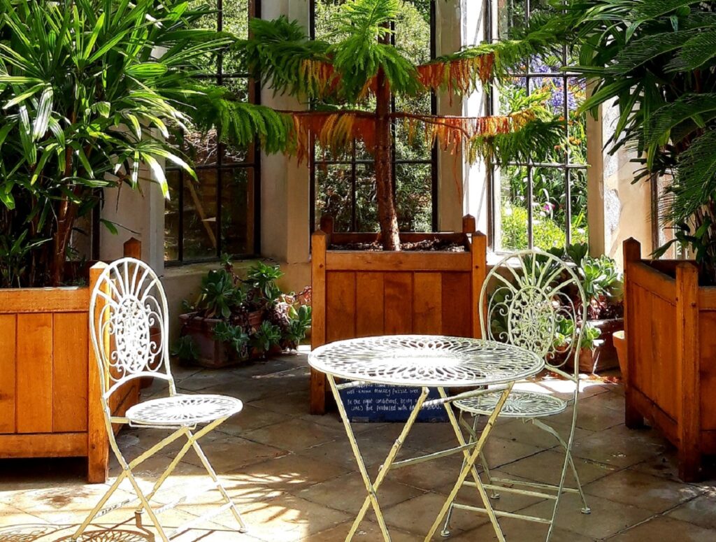 patio-interior-plantas